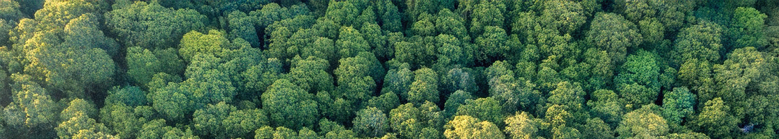 Chiller and heat pump PACIFICA PRO